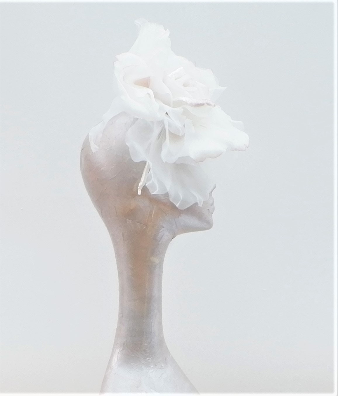Ava-- Sheashell (Ivory with a hint of Pink) silk organza 12" Rose fascinator