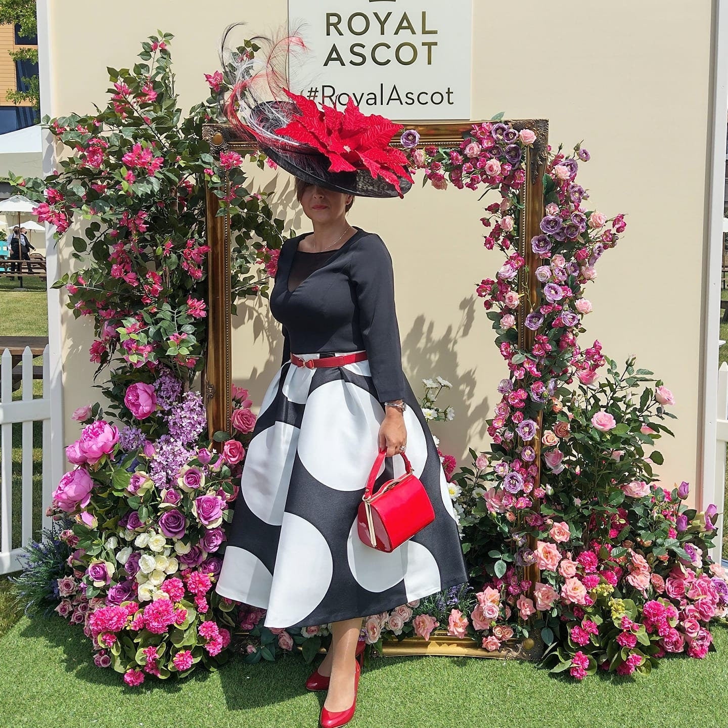 Extra large Black feature fascinator with 57cm Velvet Poinsettia & Ostrich feathers